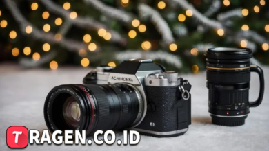 batch 1775297548 article 251 watermarked