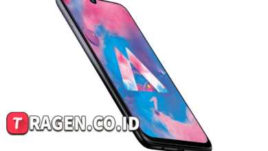 batch 1775297548 article 25 watermarked 1