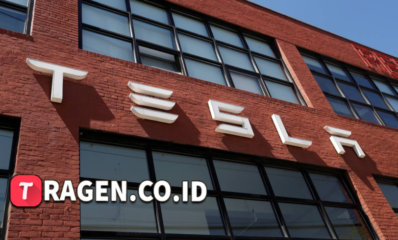 batch 1775297548 article 25 watermarked