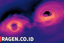 batch 1775297548 article 26 watermarked