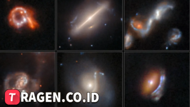 batch 1775297548 article 27 watermarked