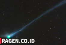 batch 1775297548 article 28 watermarked