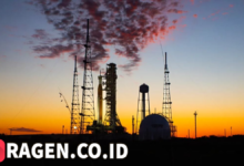 batch 1775297548 article 29 watermarked