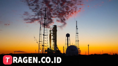 batch 1775297548 article 29 watermarked