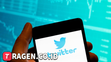 batch 1775297548 article 2 watermarked 1