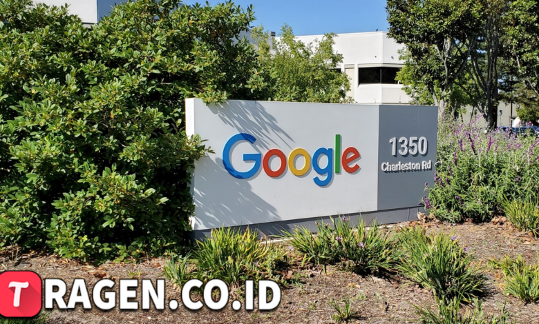 batch 1775297548 article 30 watermarked 1