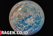 batch 1775297548 article 31 watermarked