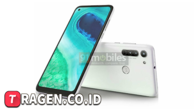 batch 1775297548 article 34 watermarked 1