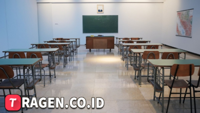 batch 1775297548 article 36 watermarked