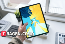 batch 1775297548 article 38 watermarked 1