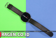 batch 1775297548 article 42 watermarked 1