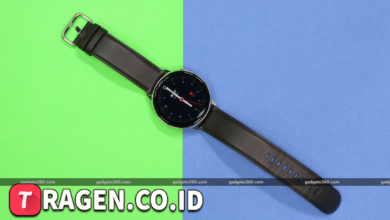 batch 1775297548 article 42 watermarked 1