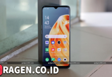 batch 1775297548 article 43 watermarked 1