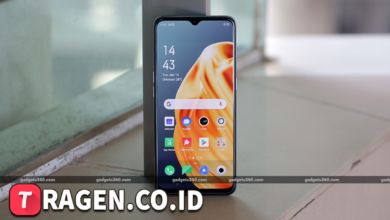 batch 1775297548 article 43 watermarked 1