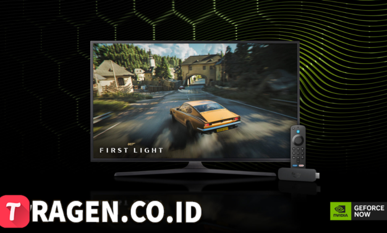 batch 1775297548 article 43 watermarked