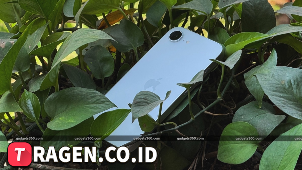 batch 1775297548 article 45 watermarked