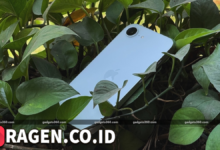 batch 1775297548 article 45 watermarked