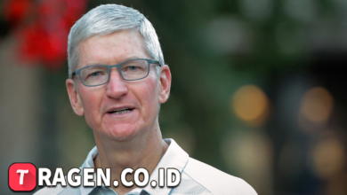 batch 1775297548 article 47 watermarked 1