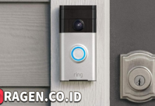 batch 1775297548 article 48 watermarked 1