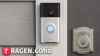 batch 1775297548 article 48 watermarked 1