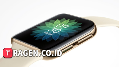 batch 1775297548 article 49 watermarked 1