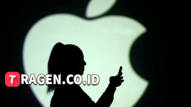 batch 1775297548 article 50 watermarked 1