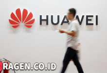 batch 1775297548 article 51 watermarked 1