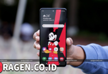 batch 1775297548 article 55 watermarked 1