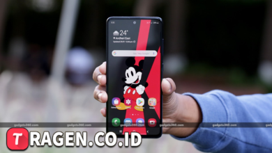 batch 1775297548 article 55 watermarked 1