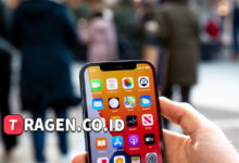 batch 1775297548 article 56 watermarked 1