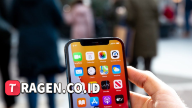 batch 1775297548 article 56 watermarked 1