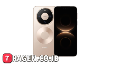 batch 1775297548 article 56 watermarked