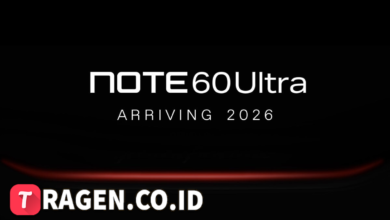 batch 1775297548 article 58 watermarked