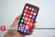 batch 1775297548 article 5 watermarked 1