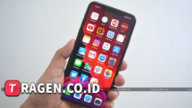 batch 1775297548 article 5 watermarked 1