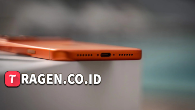 batch 1775297548 article 5 watermarked 2