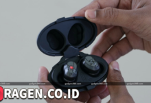 batch 1775297548 article 61 watermarked 1