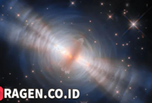 batch 1775297548 article 61 watermarked