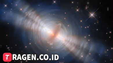 batch 1775297548 article 61 watermarked