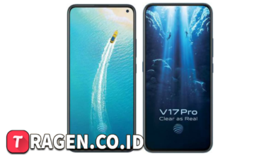 batch 1775297548 article 62 watermarked 1