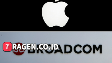 batch 1775297548 article 63 watermarked 1