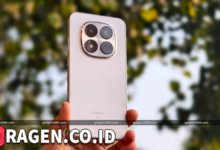 batch 1775297548 article 63 watermarked