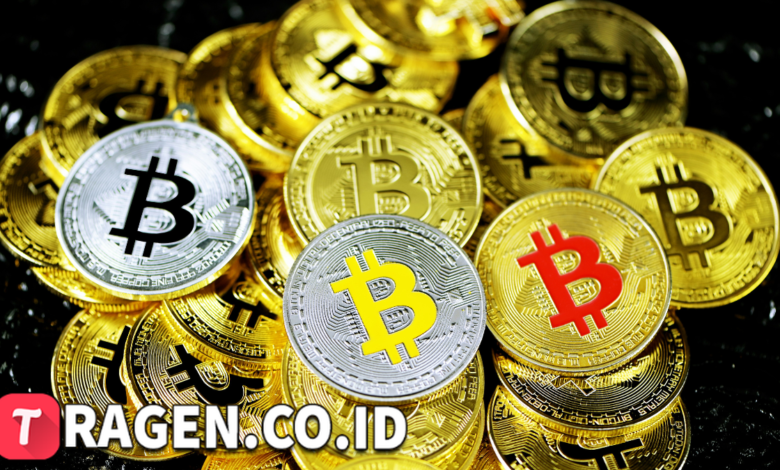 batch 1775297548 article 64 watermarked