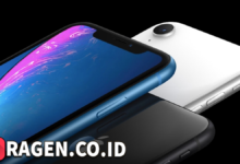 batch 1775297548 article 65 watermarked 1