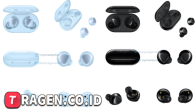 batch 1775297548 article 67 watermarked 1