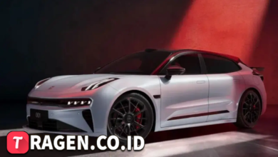 batch 1775297548 article 6 watermarked 3