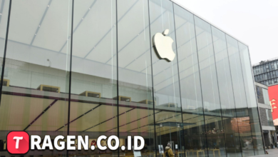 batch 1775297548 article 74 watermarked 1