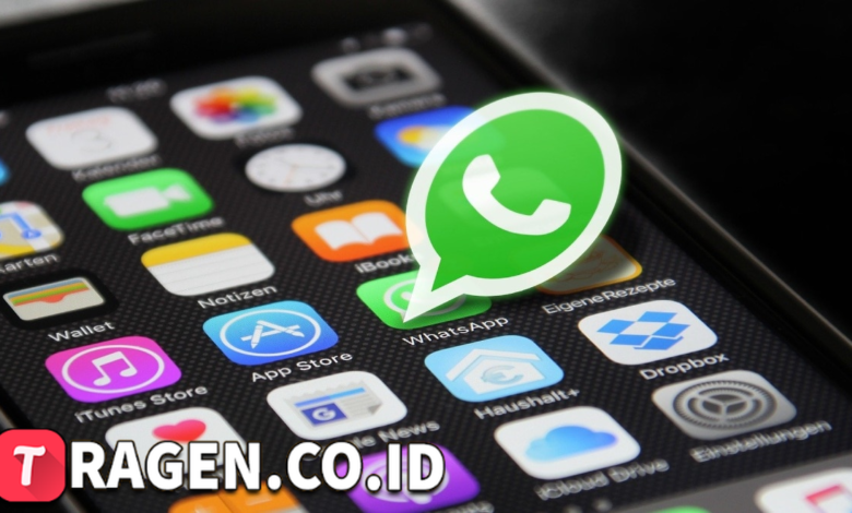 batch 1775297548 article 74 watermarked