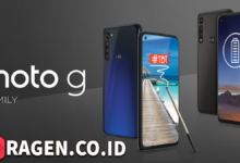 batch 1775297548 article 75 watermarked 1