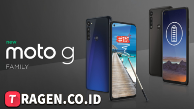 batch 1775297548 article 75 watermarked 1